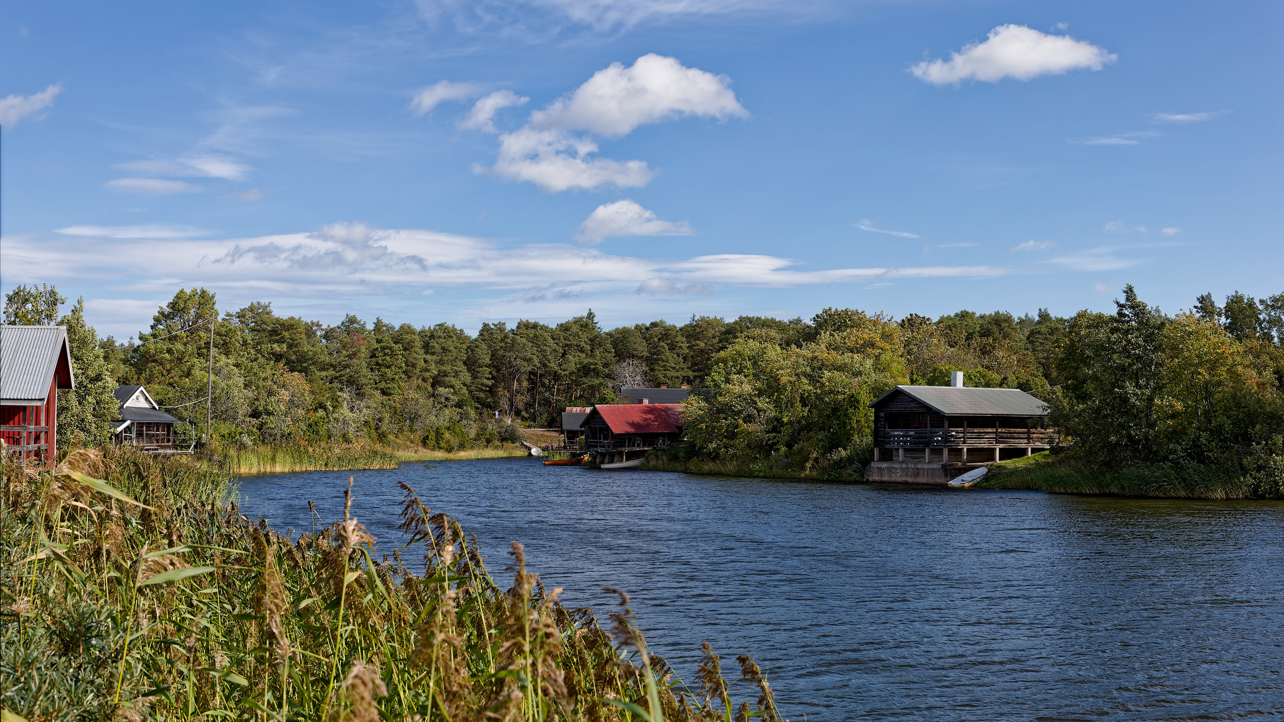 Billudden Naturreservat, Schweden 2024